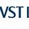 VST ECS Logo