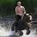 Vladimir Putin On Bear