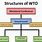 WTO Structure