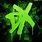 WWE DX Symbol