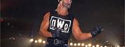 WWE Hollywood Hulk Hogan