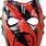 WWE Mask Wrestler