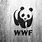 WWF 4K Wallpaper