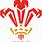 Wales Rugby Emblem