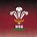 Wales Rugby Symbol