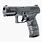 Walther PPQ .45 ACP