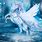 Water Unicorn Pegasus
