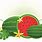 Watermelon Vine Clip Art