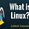What Is a Linux