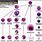 White Blood Cell Maturation Chart