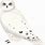 White Owl Cartoon