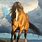 Wild Mustang Horse Paintings