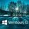 Windows 10 Pro Themes