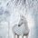 Winter Horse Photography