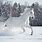 Winter Horse Pics