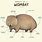 Wombat Anatomy