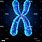 X Chromosome Diagram