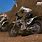 Xbox 360 Dirt Bike Games