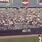 Yankee Stadium Bat Day