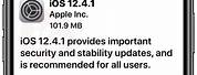 iOS 12.4.1