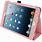 iPad Mini 2 Pink