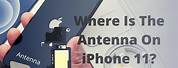 iPhone 11 Cellular Antenna Location