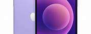 iPhone 12 Mini Purple Screen