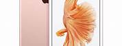 iPhone 6s Gold Price in Pakistan