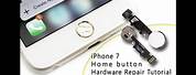 iPhone 7 Home Button Assembly