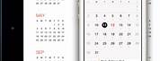 iPhone Calendar Picutre