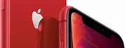 iPhone XR Red Front and Back
