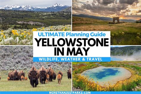 Yellowstone in May: Your Weather Planning Guide