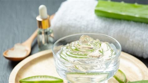 Tips Menghilangkan Jerawat Batu di Hidung dengan Lidah Buaya Alami ...