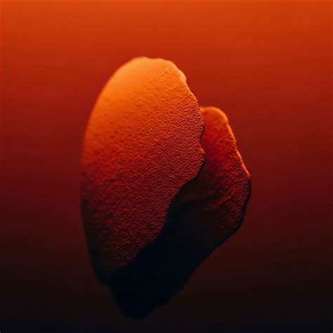 Color Models Explained · Theme · Swatch 1