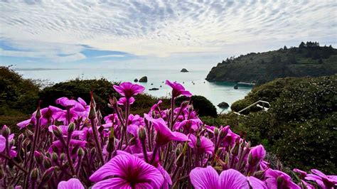 Foster toddler murder case, new child sex charges, the mall’s auction, eviction drama, many ...