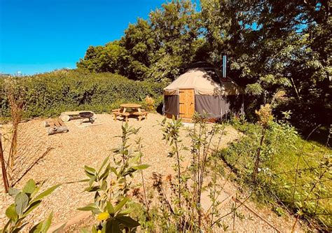 Wildings Holidays Coffee Shop: Pictures & Reviews - Tripadvisor