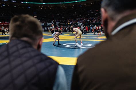 OHSAA state wrestling championships 2025 Division I results