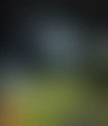 Hill View Homestay in Aalo: Your Perfect Arunachal Pradesh Escape