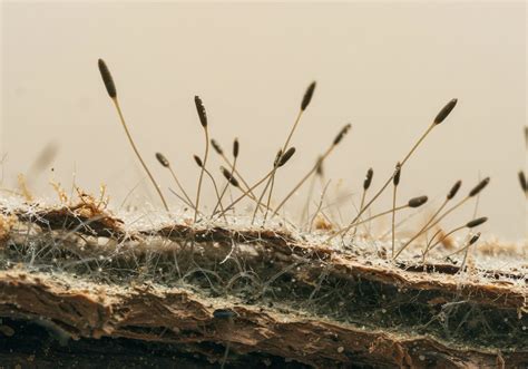 What Is the Energy Trade-off in Digital Dematerialization? → Learn