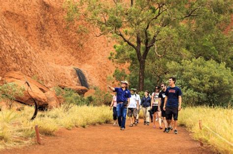 From Yulara: Uluru Tour and Sunset BBQ | Travel Buddies