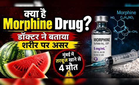 Mumbai watermelon case: 4 मौतों के बाद चर्चा में morphine, जानिए क्या ...