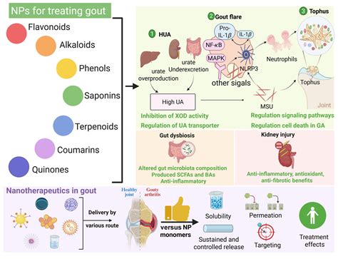 Natural products (NPs) for gout treatment in multiple targets and ...