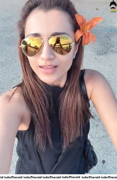 Trisha Krishnan Leaked Video Photo & File Content Updates #812