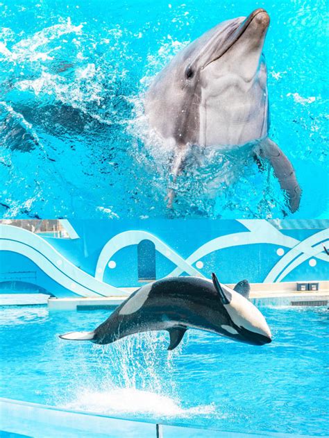 How to have fun in Shanghai during the May Day holiday? A local's ...