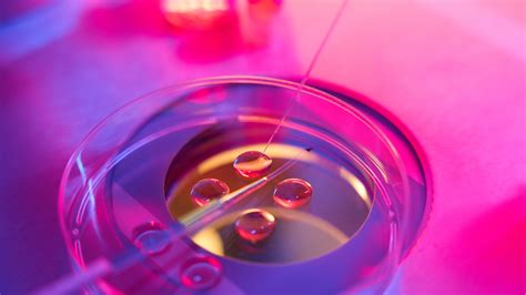 AMH Test in IVF/ICSI: Why It Matters for Fertility Planning | ArokaGO