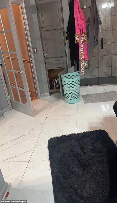 Can you spot the hidden dog in this "boring" bathroom in 30 seconds?