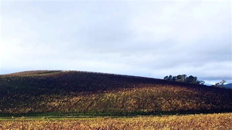 Windows XP turns 25, and it still beats Windows 8 in usage