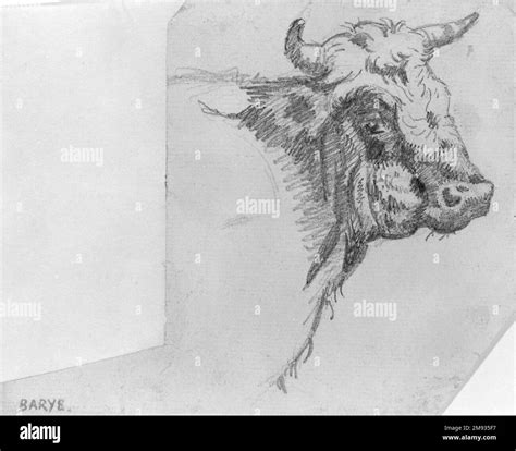 4 4 5 4 cm Black and White Stock Photos & Images - Alamy