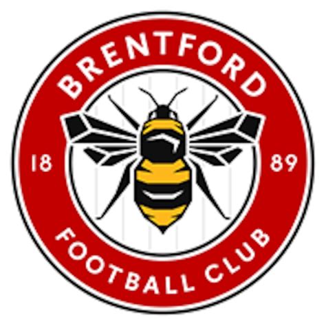 Brentford vs Wolverhampton Wanderers F.C. Football Match Stats | Player ...