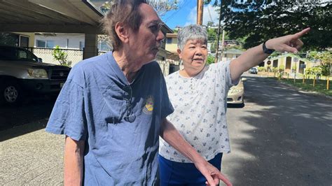 Hawaii considers legislation to control wild chicken population amid ...